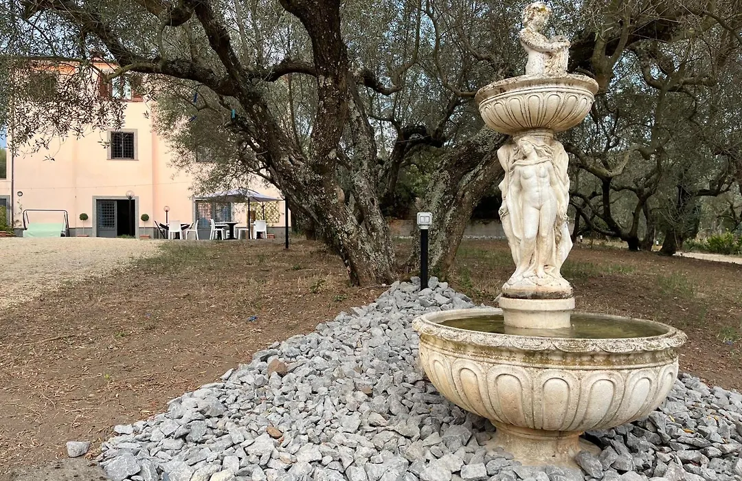 Agriturismo Domus Tuscia-1